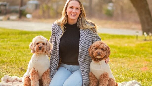 australian labradoodle